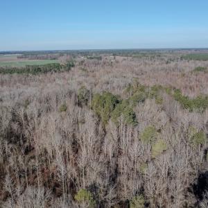Photo #8 of 4068 Midway Road, Maxton, NC 115.3 acres