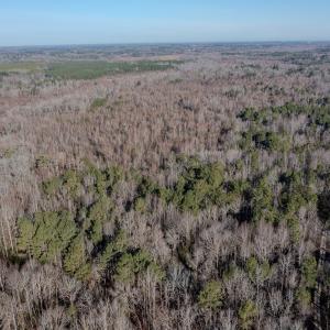 Photo #9 of 4068 Midway Road, Maxton, NC 115.3 acres
