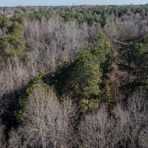 Photo #10 of 4068 Midway Road, Maxton, NC 115.3 acres