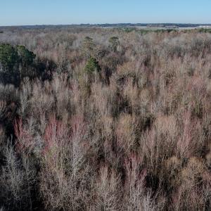 Photo #11 of 4068 Midway Road, Maxton, NC 115.3 acres