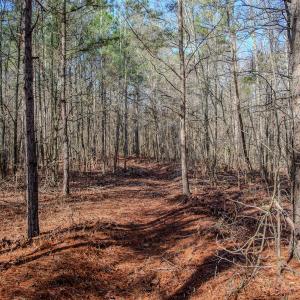 Photo #41 of 4068 Midway Road, Maxton, NC 115.3 acres