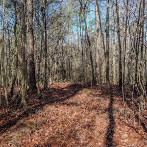 Photo #43 of 4068 Midway Road, Maxton, NC 115.3 acres