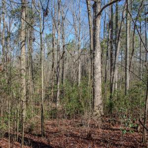 Photo #44 of 4068 Midway Road, Maxton, NC 115.3 acres