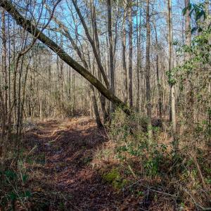 Photo #45 of 4068 Midway Road, Maxton, NC 115.3 acres