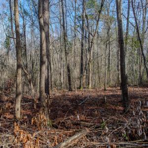 Photo #46 of 4068 Midway Road, Maxton, NC 115.3 acres