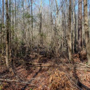 Photo #47 of 4068 Midway Road, Maxton, NC 115.3 acres