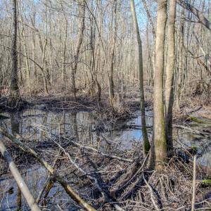 Photo #48 of 4068 Midway Road, Maxton, NC 115.3 acres