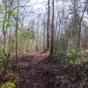 Photo #51 of 4068 Midway Road, Maxton, NC 115.3 acres