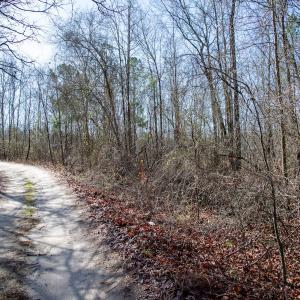 Photo #57 of 4068 Midway Road, Maxton, NC 115.3 acres