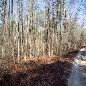 Photo #58 of 4068 Midway Road, Maxton, NC 115.3 acres
