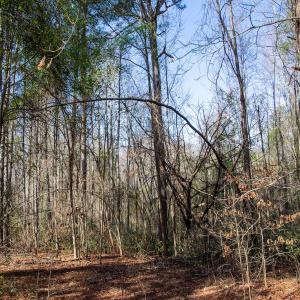 Photo #60 of 4068 Midway Road, Maxton, NC 115.3 acres