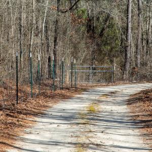 Photo #63 of 4068 Midway Road, Maxton, NC 115.3 acres
