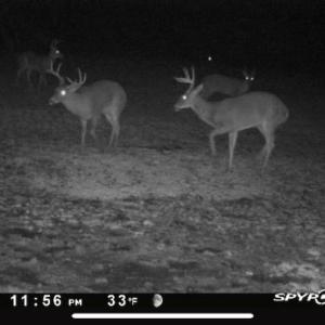 Photo #65 of 4068 Midway Road, Maxton, NC 115.3 acres