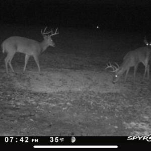 Photo #66 of 4068 Midway Road, Maxton, NC 115.3 acres