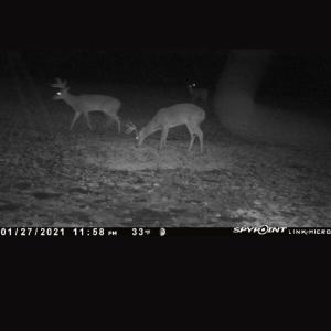 Photo #67 of 4068 Midway Road, Maxton, NC 115.3 acres