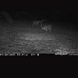 Photo #68 of 4068 Midway Road, Maxton, NC 115.3 acres
