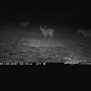 Photo #69 of 4068 Midway Road, Maxton, NC 115.3 acres
