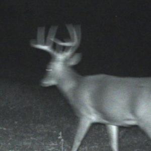Photo #70 of 4068 Midway Road, Maxton, NC 115.3 acres