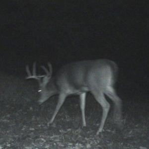 Photo #74 of 4068 Midway Road, Maxton, NC 115.3 acres