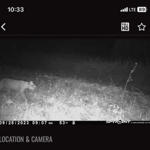 Photo #77 of 4068 Midway Road, Maxton, NC 115.3 acres