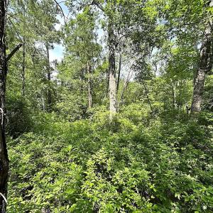Photo #10 of SOLD property in Blue Star Highway, Jarratt, VA 28.0 acres