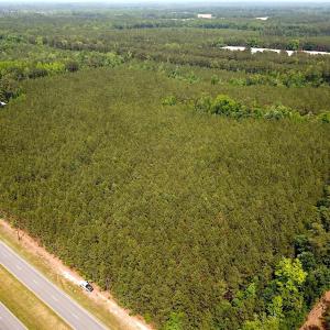 Photo #3 of SOLD property in Blue Star Highway, Jarratt, VA 28.0 acres
