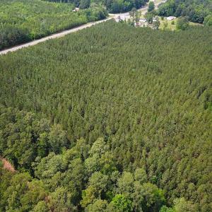 Photo #4 of SOLD property in Blue Star Highway, Jarratt, VA 28.0 acres