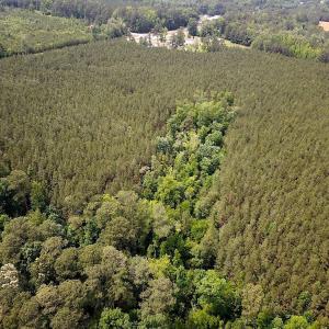 Photo #6 of SOLD property in Blue Star Highway, Jarratt, VA 28.0 acres