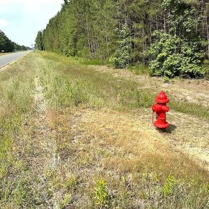 Photo #22 of SOLD property in Blue Star Highway, Jarratt, VA 28.0 acres