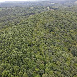 Photo #12 of SOLD property in Off Squirrel Spur Rd, Meadows of Dan, VA 20.0 acres