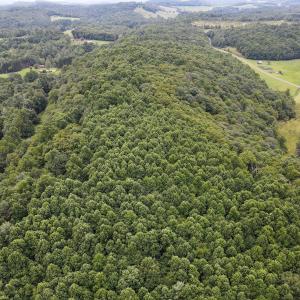 Photo #13 of SOLD property in Off Squirrel Spur Rd, Meadows of Dan, VA 20.0 acres