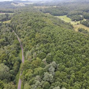 Photo #14 of SOLD property in Off Squirrel Spur Rd, Meadows of Dan, VA 20.0 acres