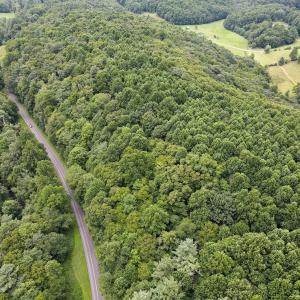 Photo #17 of SOLD property in Off Squirrel Spur Rd, Meadows of Dan, VA 20.0 acres