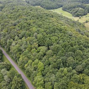 Photo #18 of SOLD property in Off Squirrel Spur Rd, Meadows of Dan, VA 20.0 acres