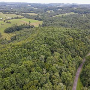 Photo #2 of SOLD property in Off Squirrel Spur Rd, Meadows of Dan, VA 20.0 acres