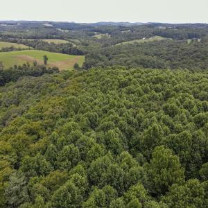 Photo #26 of SOLD property in Off Squirrel Spur Rd, Meadows of Dan, VA 20.0 acres