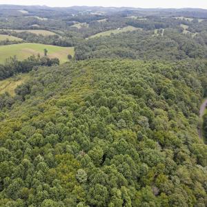 Photo #3 of SOLD property in Off Squirrel Spur Rd, Meadows of Dan, VA 20.0 acres