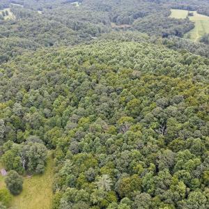 Photo #4 of SOLD property in Off Squirrel Spur Rd, Meadows of Dan, VA 20.0 acres
