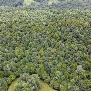 Photo #7 of SOLD property in Off Squirrel Spur Rd, Meadows of Dan, VA 20.0 acres