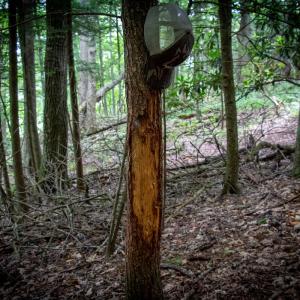 Photo #9 of SOLD property in Off Squirrel Spur Rd, Meadows of Dan, VA 20.0 acres