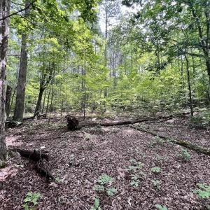 Photo #11 of Off Gordon Lane - Lot 27, Macon, NC 1.0 acres