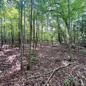 Photo #13 of Off Gordon Lane - Lot 27, Macon, NC 1.0 acres