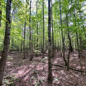 Photo #15 of Off Gordon Lane - Lot 27, Macon, NC 1.0 acres