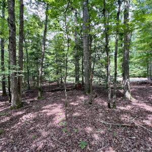 Photo #16 of Off Gordon Lane - Lot 27, Macon, NC 1.0 acres