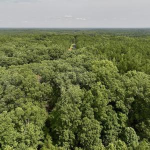 Photo #5 of Off Gordon Lane - Lot 27, Macon, NC 1.0 acres