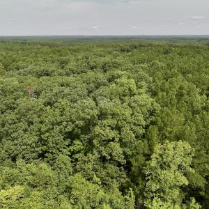 Photo #6 of Off Gordon Lane - Lot 27, Macon, NC 1.0 acres