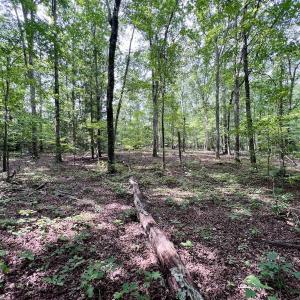 Photo #10 of Off Gordon Lane - Lot 27, Macon, NC 1.0 acres