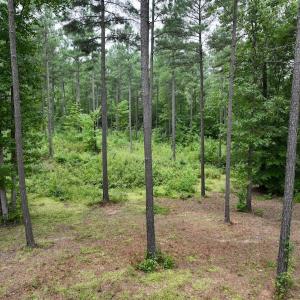 Photo #13 of Off Sail View Lane, Macon, NC 1.0 acres
