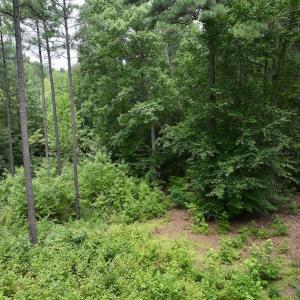 Photo #15 of Off Sail View Lane, Macon, NC 1.0 acres