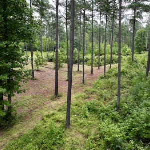Photo #17 of Off Sail View Lane, Macon, NC 1.0 acres